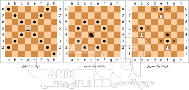 نحوه ی حرکت مهره های شطرنج